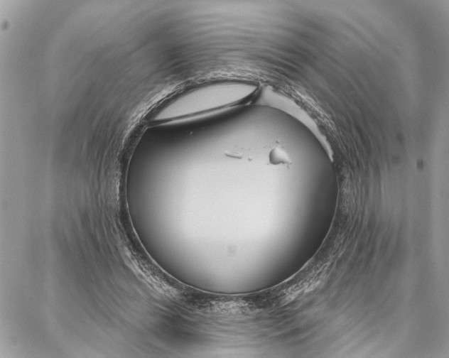 X0000086930446200705071357