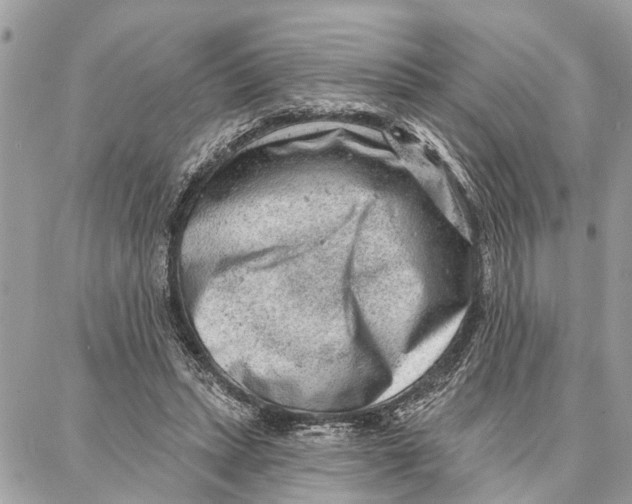 X0000086930447200705071357