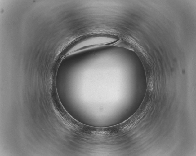 X0000086930448200705071357