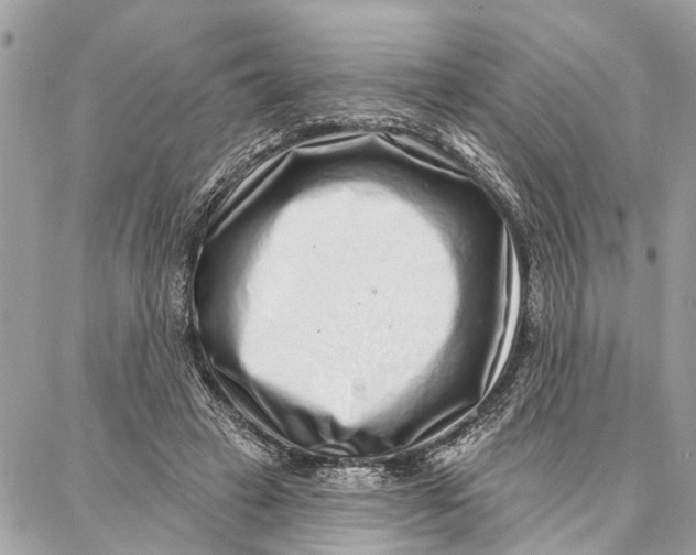 X0000086930449200705071357