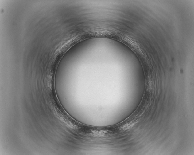 X0000086930450200705071357