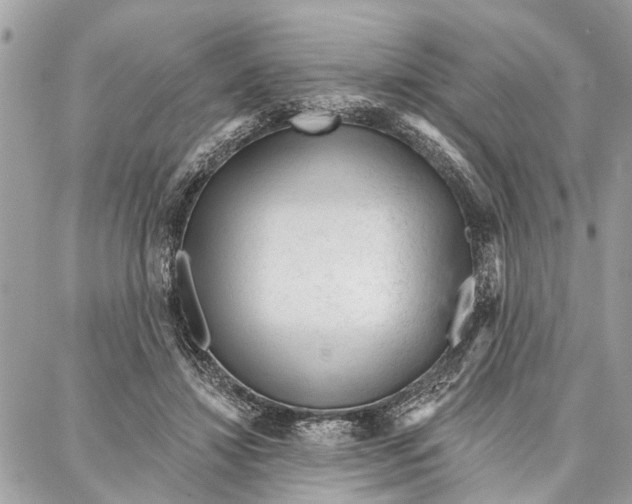 X0000086930452200705071357