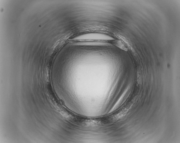 X0000086930453200705071357