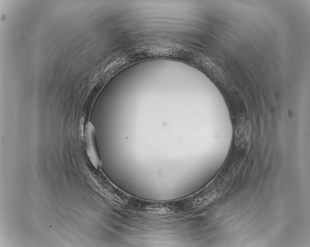 X0000086930454200705071357