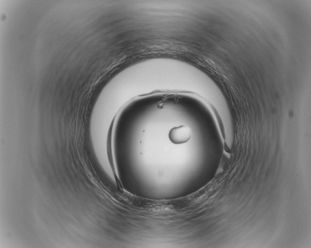 X0000086930456200705071357