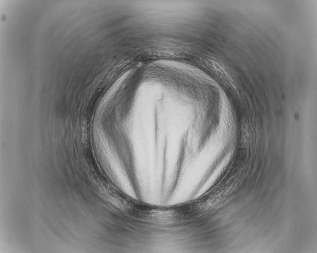 X0000086930457200705071357