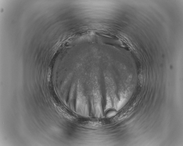 X0000086930458200705071357