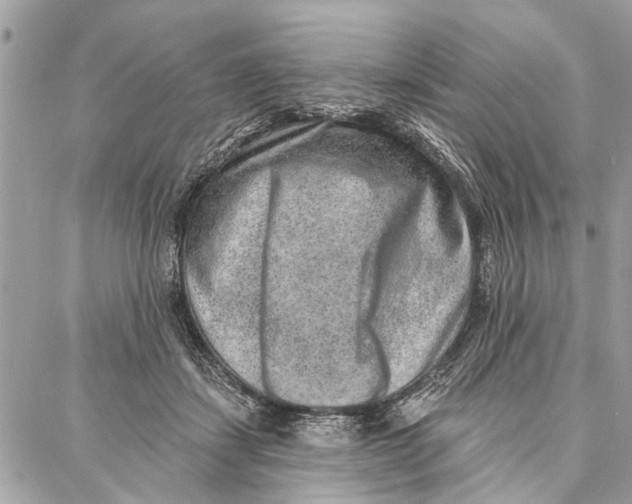 X0000086930459200705071357