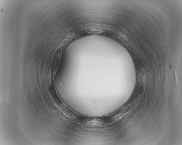 X0000086930460200705071357