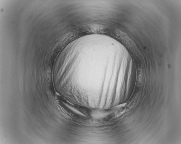 X0000086930461200705071357