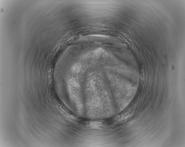 X0000086930462200705071357