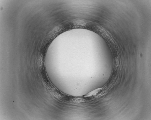 X0000086930463200705071357