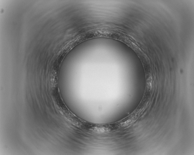 X0000086930464200705071357