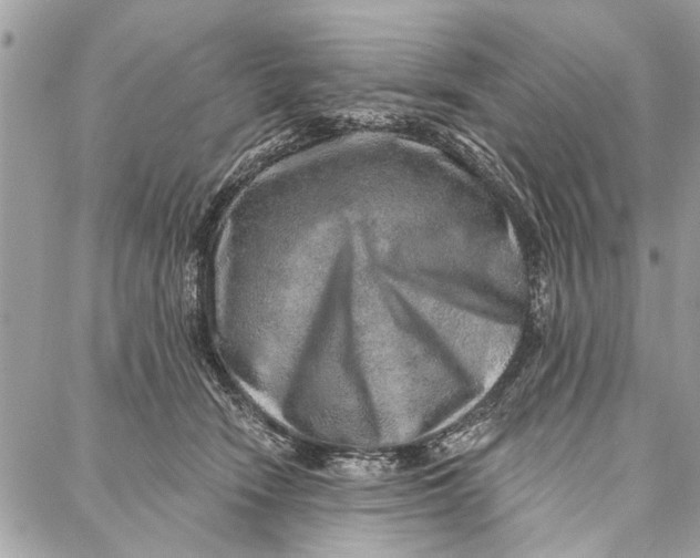 X0000086930466200705071357