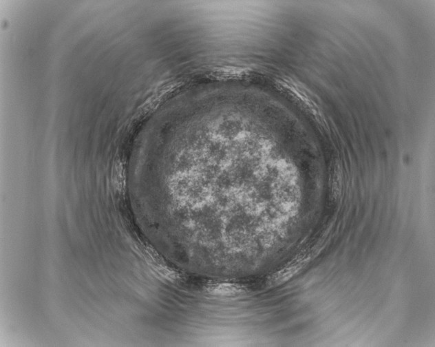 X0000086930467200705071357