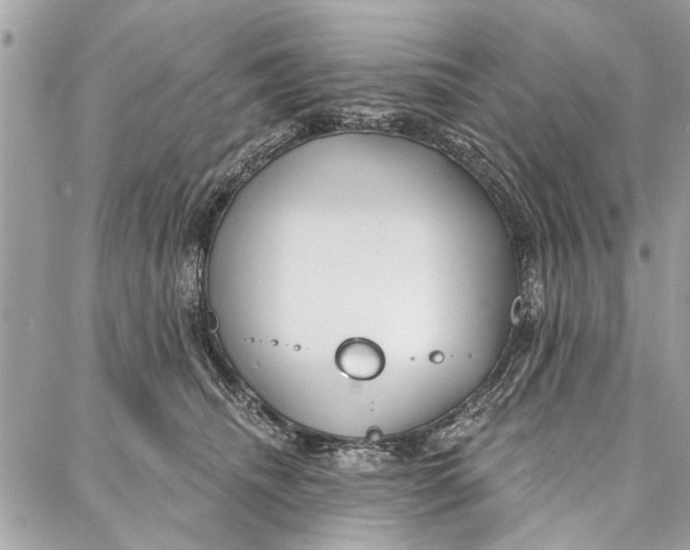 X0000086930468200705071357