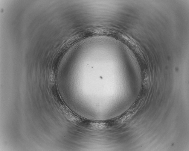 X0000086930469200705071357