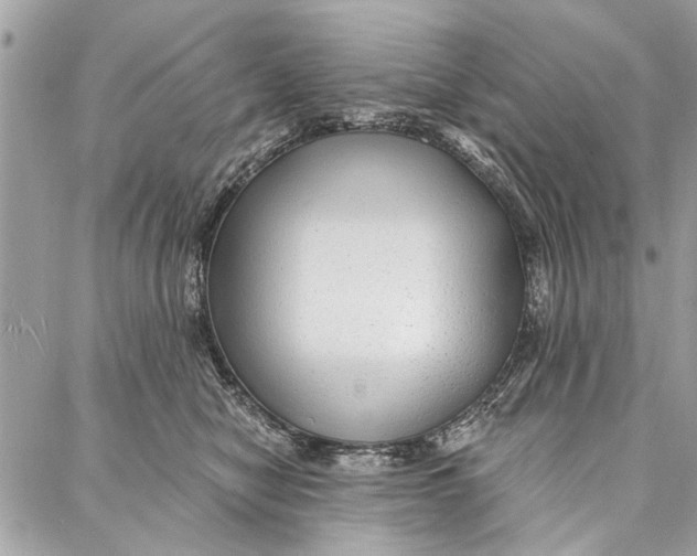 X0000086930470200705071357