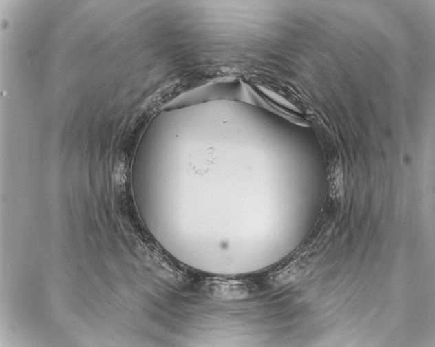 X0000086930472200705071357