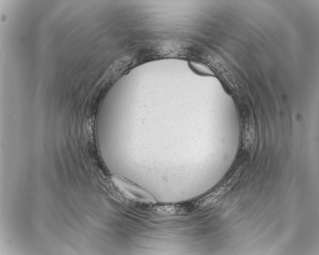 X0000086930473200705071357