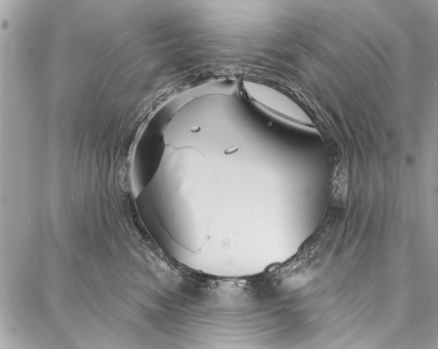 X0000086930474200705071357