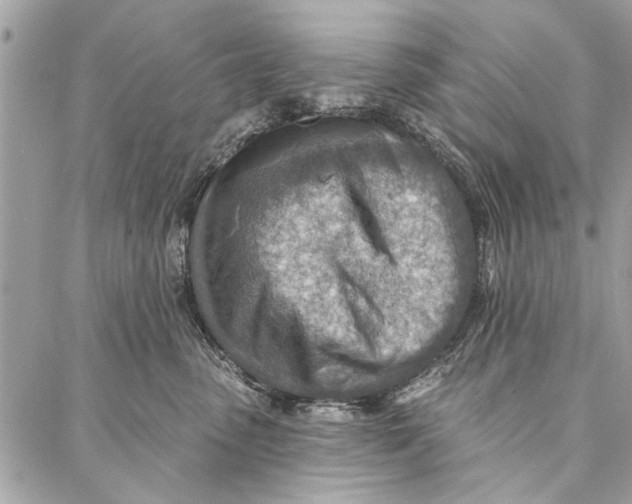 X0000086930475200705071357