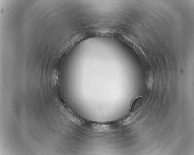 X0000086930476200705071357