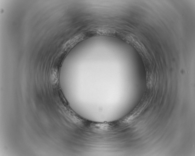 X0000086930478200705071358