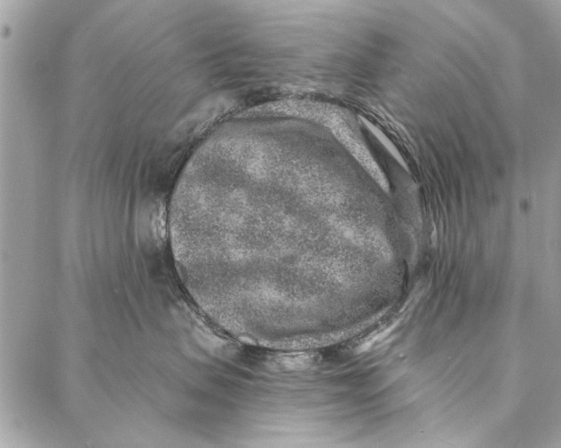 X0000086930479200705071358