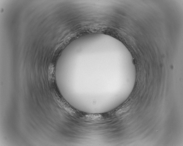 X0000086930480200705071358