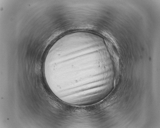 X0000086930483200705071357