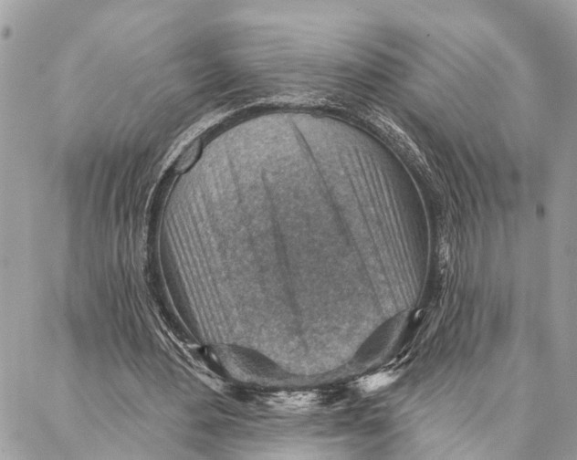 X0000086930484200705071357