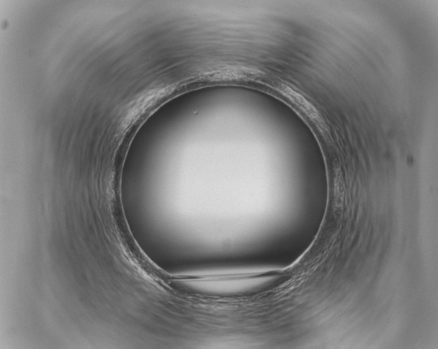 X0000086930485200705071357