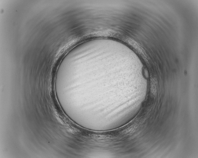 X0000086930486200705071357