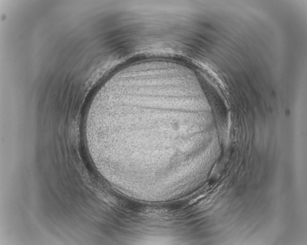 X0000086930487200705071357