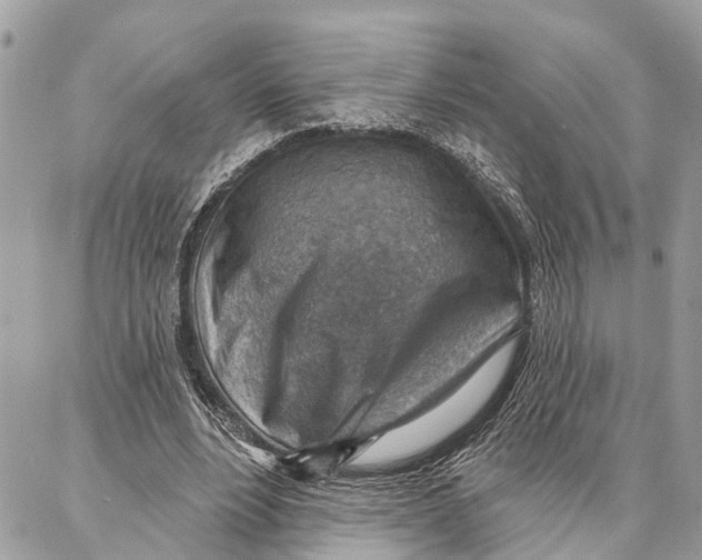 X0000086930488200705071357