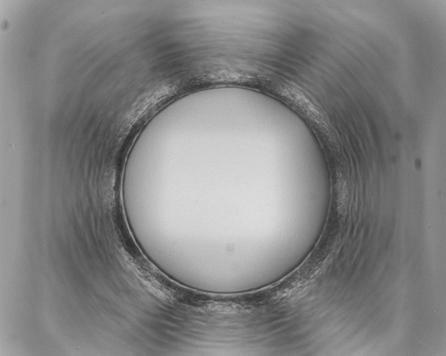 X0000086930490200705071357