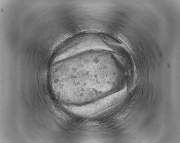 X0000086930491200705071357