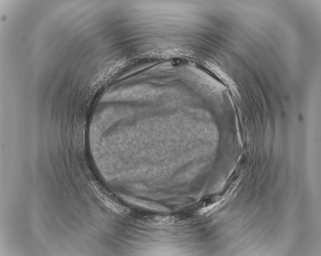 X0000086930493200705071357