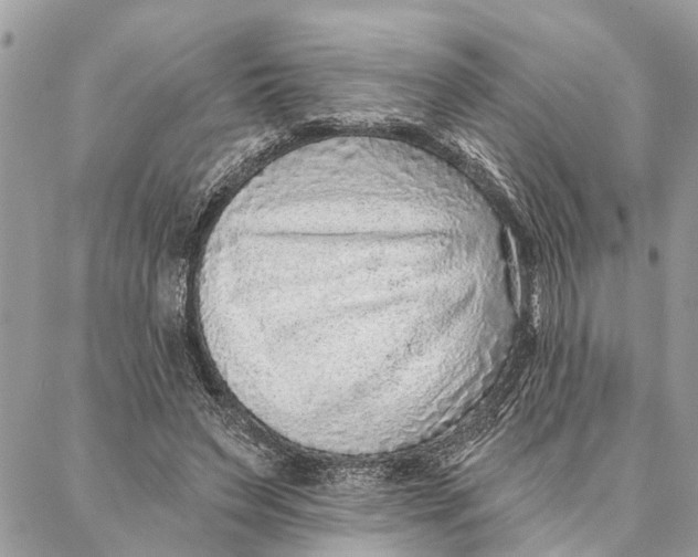 X0000086930495200705071357