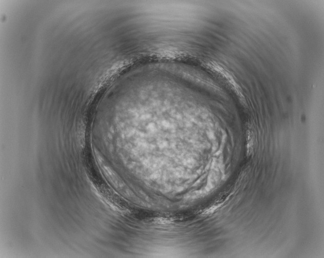 X0000086930496200705071357