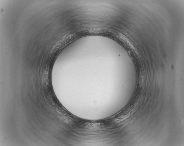 X0000086930497200705071356