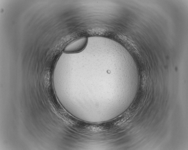 X0000086930498200705071356