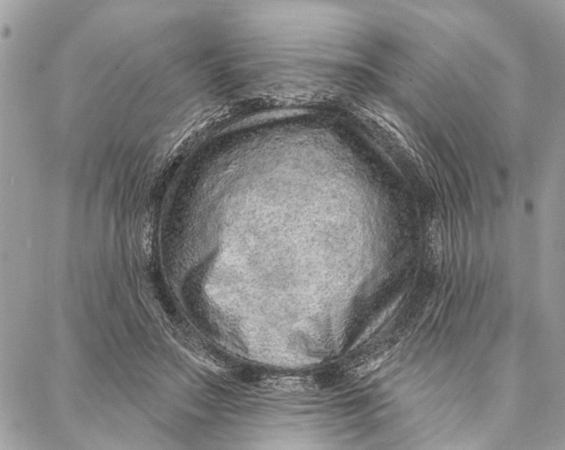 X0000086930499200705071356