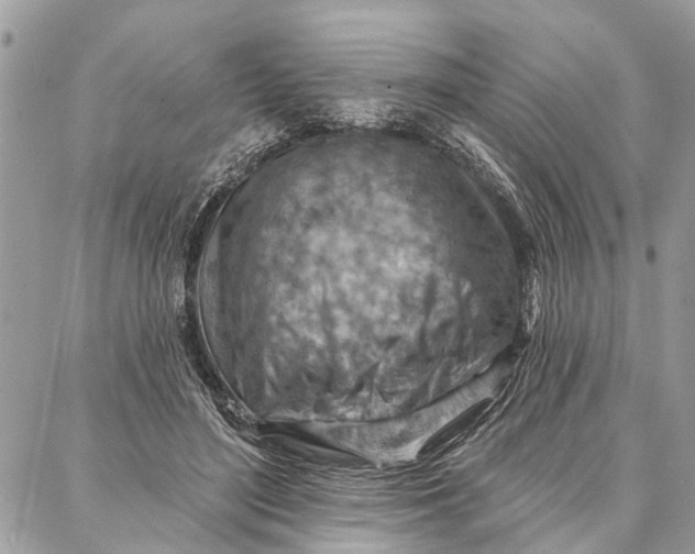 X0000086930500200705071356