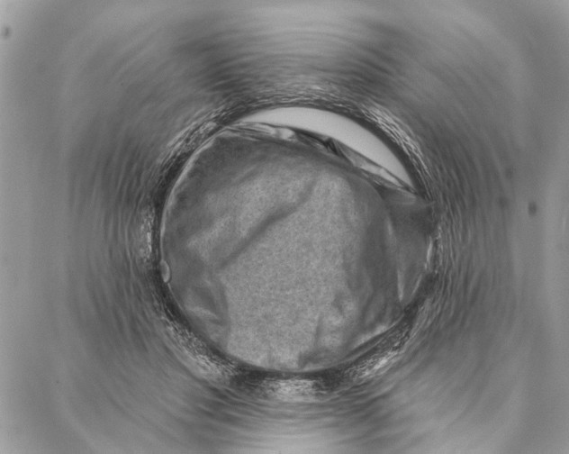 X0000086930501200705071356