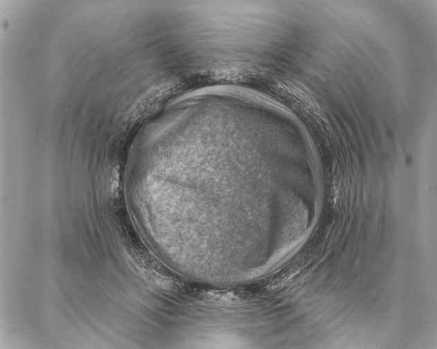 X0000086930502200705071356