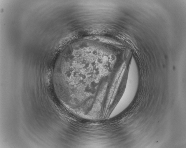 X0000086930503200705071356