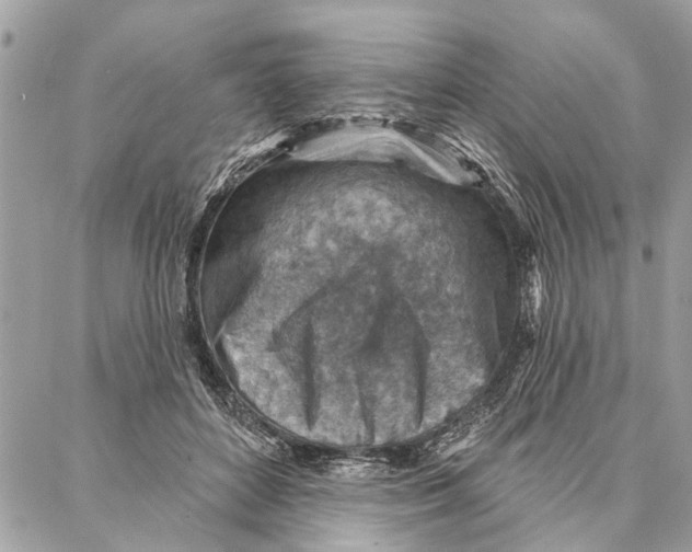 X0000086930504200705071356