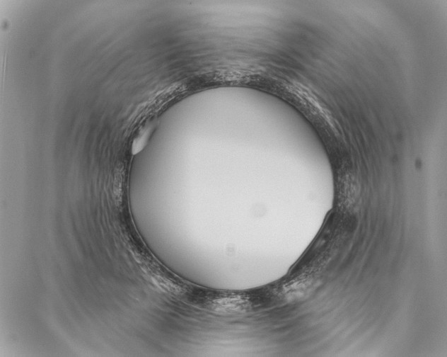 X0000086930505200705071356